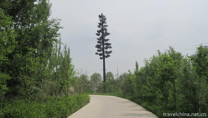 Qinghai-Tibet-Plateau-Wildlife-Park-1