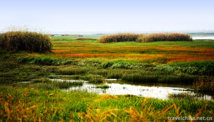 Poyang-Lake-National-Nature-Reserve-2