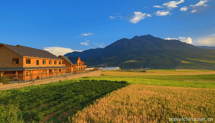 Qilian-Mountain-National-Nature-Reserve-1