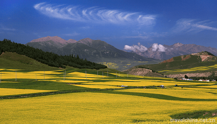 Qilian-Mountain-National-Nature-Reserve-7