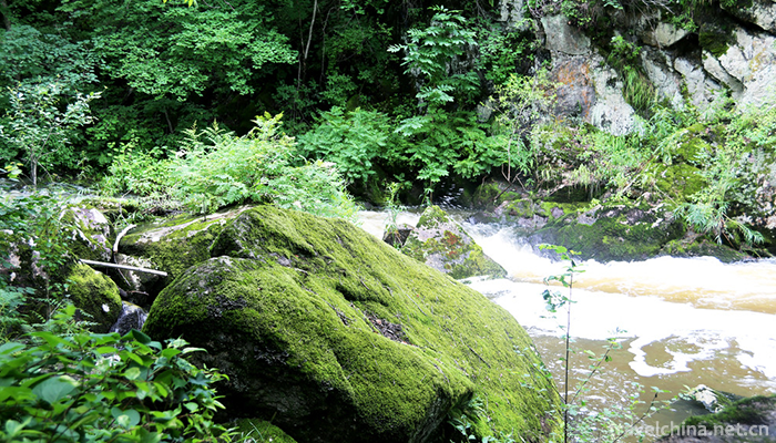 Maolangou-National-Forest-Park-5