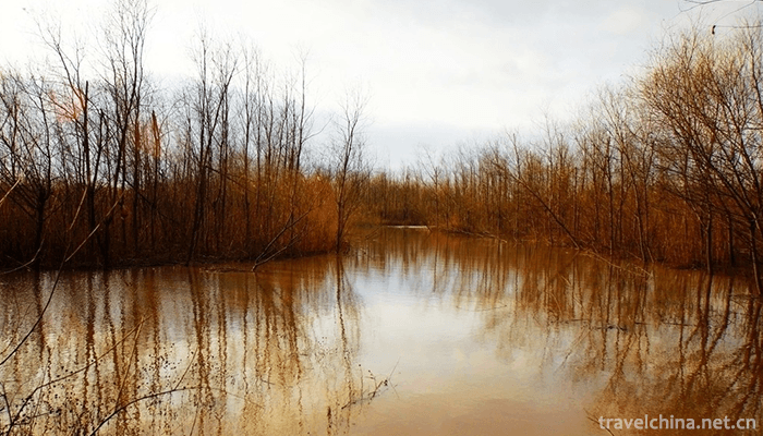 Xisha-Wetland-of-Pearl-Lake-3