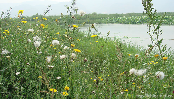 Qianchuan-Scenic-Spot-1