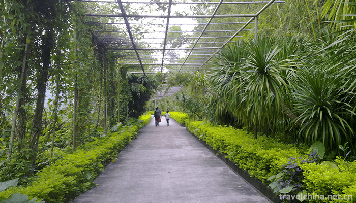 maoming-forest-park-1