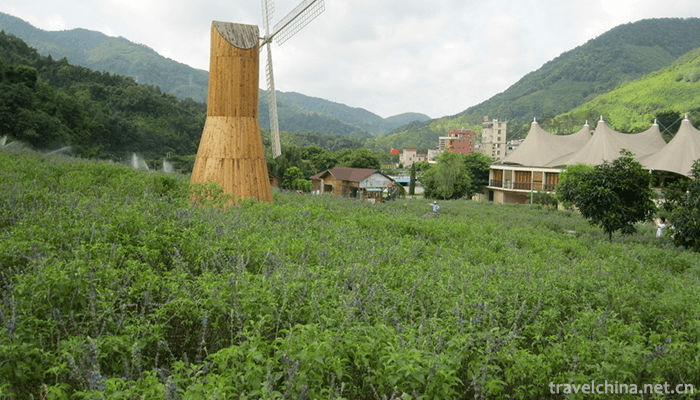 Panlongxia-Ecotourism-Area-7