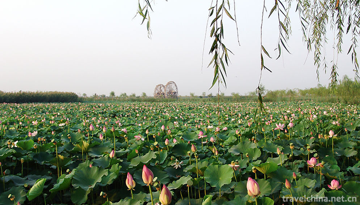 Mingcui-Lake-National-Wetland-Park-11