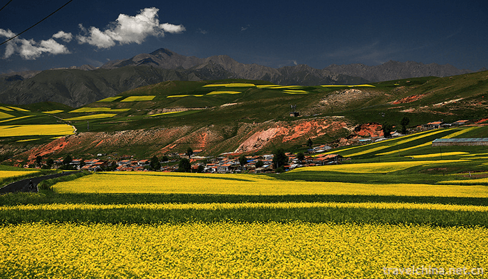 Qilian-Mountain-National-Nature-Reserve-9