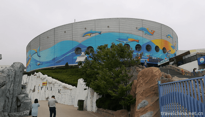 Qingdao-Polar-Ocean-World-6