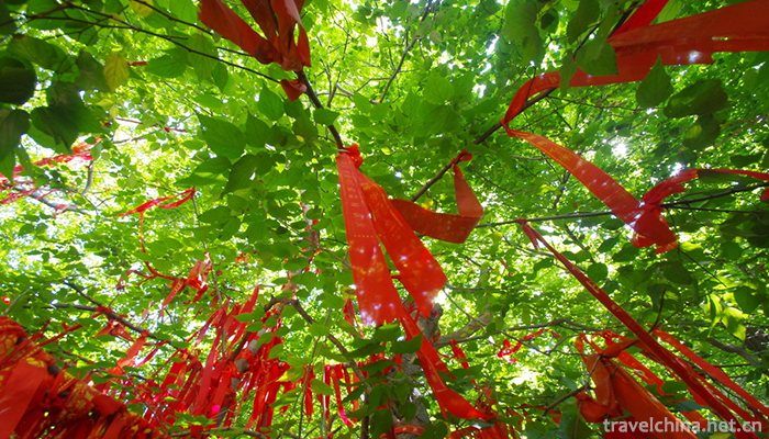 Tsing-Tan-Temple-3