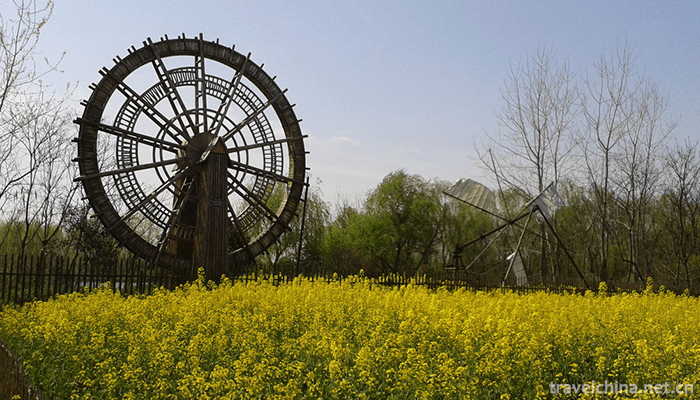 Qinhu-National-Wetland-Park-1