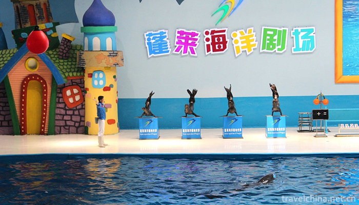 Penglai-Ocean-Polar-World-2