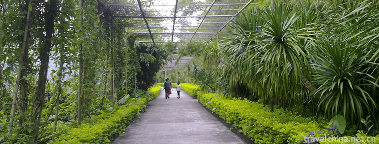 maoming forest park 