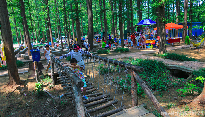 Rizhao-Seashore-National-Forest-Park-6
