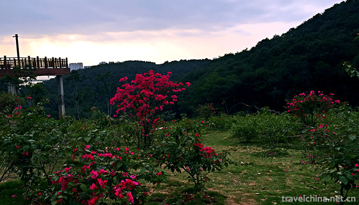 Qingxiushan-Mountain-6