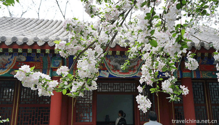Rong-Guo-Fu-7