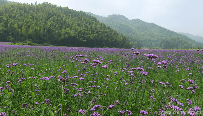 Lion-Peak-in-Meiling-3