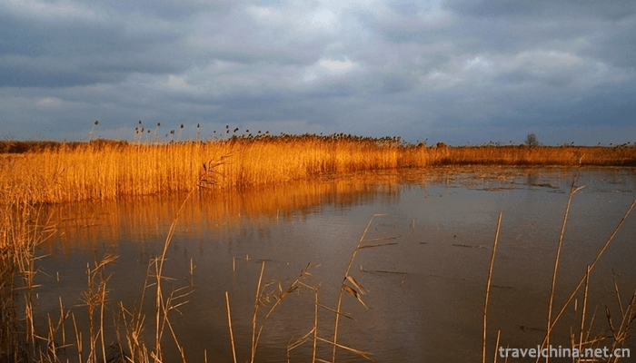 Xisha-Wetland-of-Pearl-Lake-2