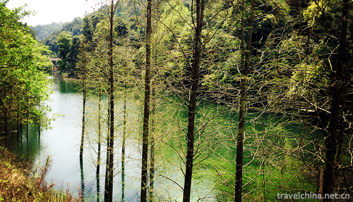 Panlongxia-Ecotourism-Area-6