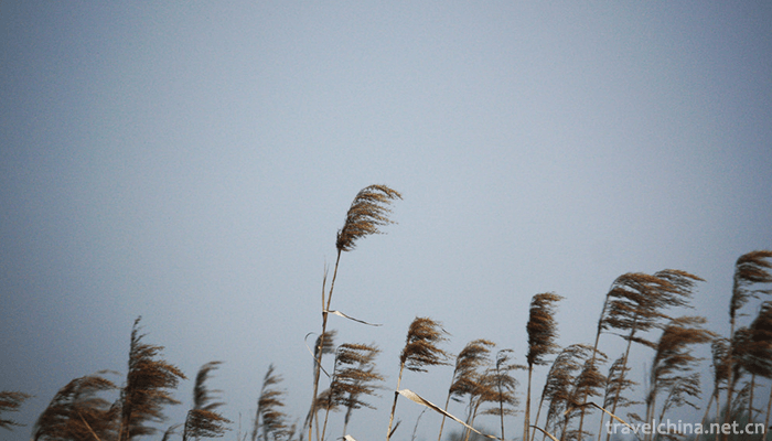 Xisha-Wetland-of-Pearl-Lake-4