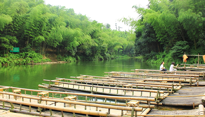 Bamboo-Sea-Scenic-Spot-in-Southern-Sichuan-10