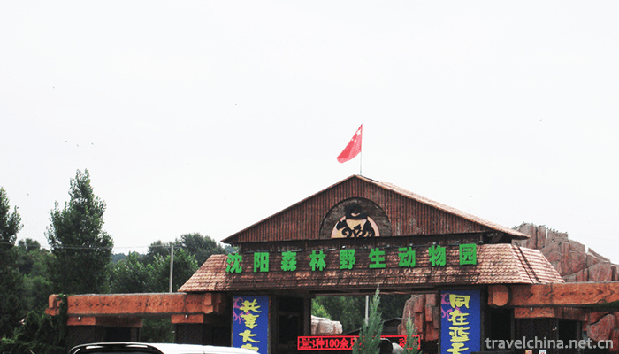Shenyang-Forest-Wildlife-Park-1