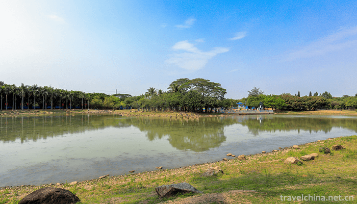 Shenzhen-Maritime-Pastoral-3
