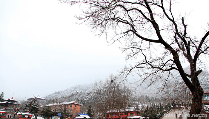 Chishan-Scenic-Area-Shidao-4