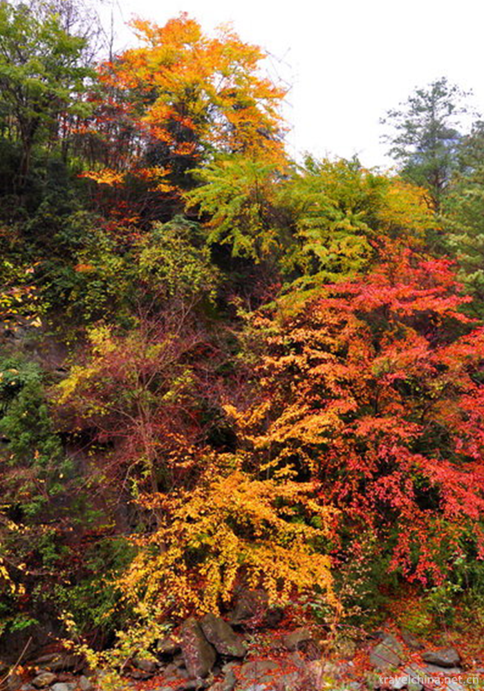 Tangjiahe-Scenic-Area-21