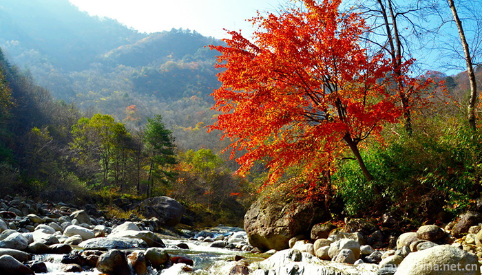 Tangjiahe-Scenic-Area-19