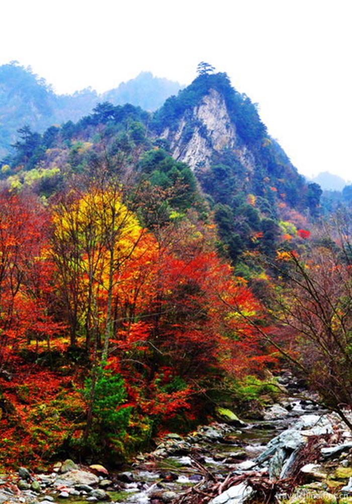 Tangjiahe-Scenic-Area-24