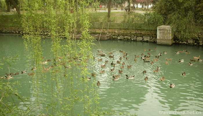 Tengtou-Ecological-Tourism-Area-1