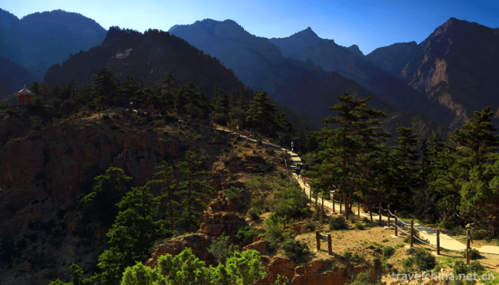 suyukou-national-forest-park-6