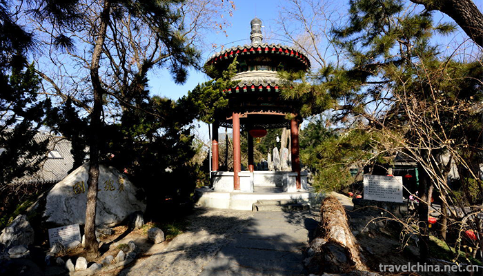Memorial-of-Song-Qinglings-Former-Residence-in-Shanghai-10