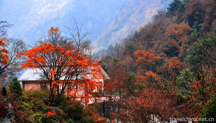 Tangjiahe-Scenic-Area-13