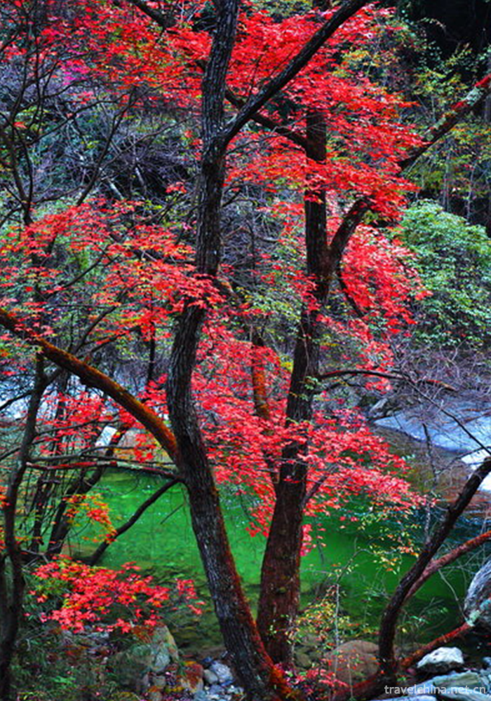 Tangjiahe-Scenic-Area-23
