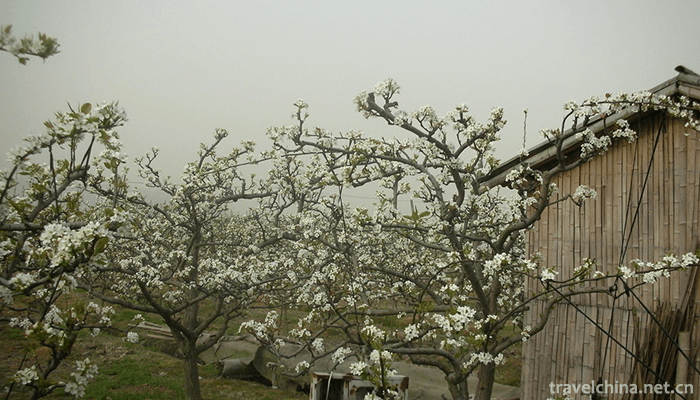Tengtou-Ecological-Tourism-Area-2