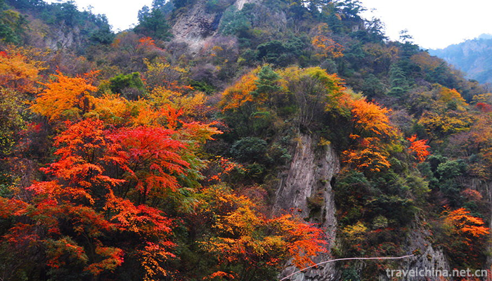 Tangjiahe-Scenic-Area-15