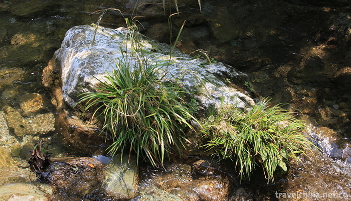 Shuimogou-Scenic-Area-5
