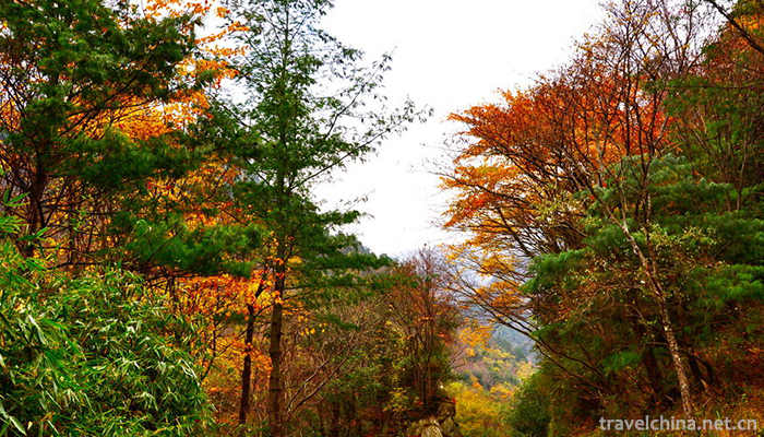 Tangjiahe-Scenic-Area-4