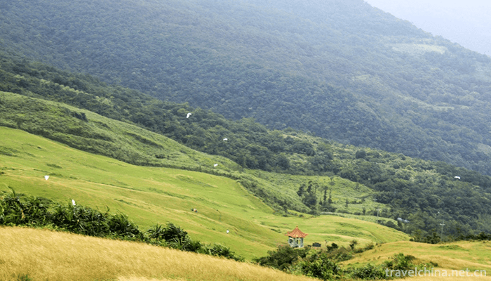 Taoyuan-Xiangu-Natural-Scenic-Area-2