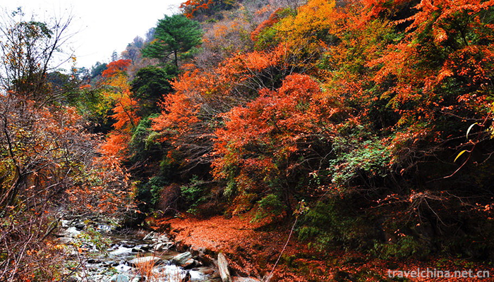 Tangjiahe-Scenic-Area-6