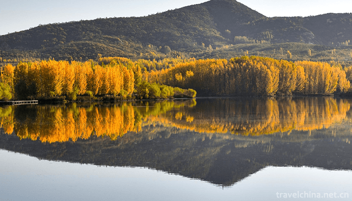 Eco-health-Tourism-Resort-in-Sishui,-Shandong-Province-2