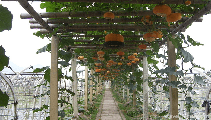 Tengtou-Ecological-Tourism-Area-4