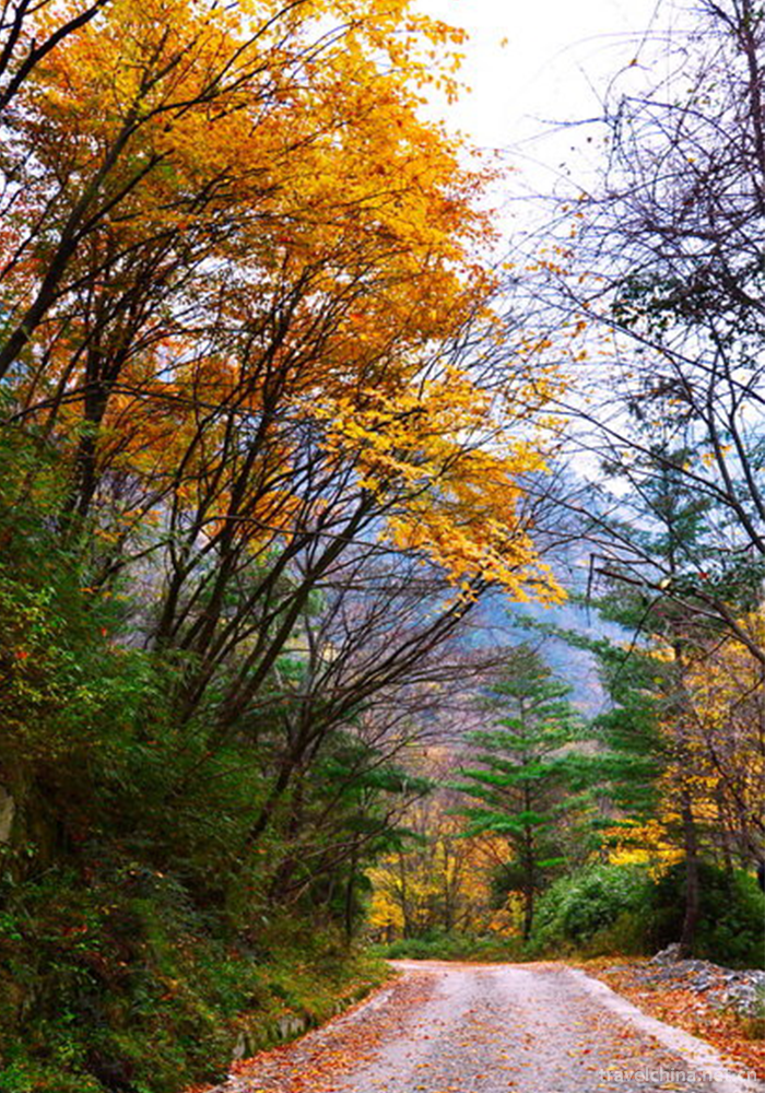 Tangjiahe-Scenic-Area-20