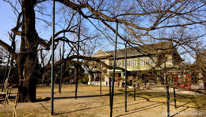 Memorial-of-Song-Qinglings-Former-Residence-in-Shanghai-12