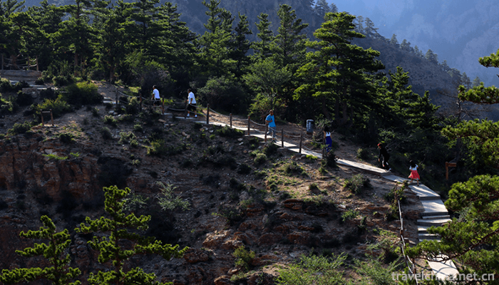 suyukou-national-forest-park-9