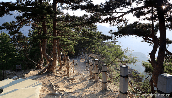 suyukou-national-forest-park-1