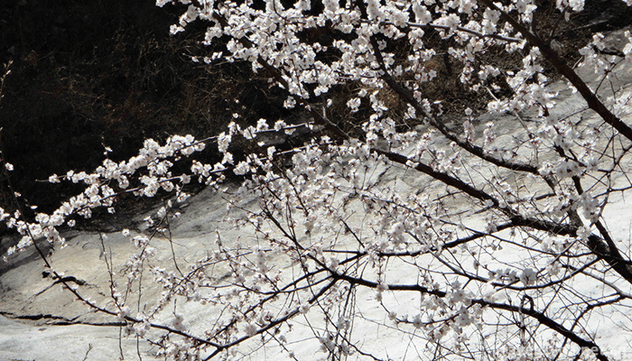 Taoyuan-Xiangu-Natural-Scenic-Area-4
