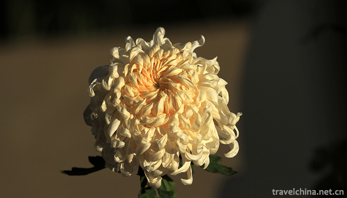 Tianjin-Water-Park-10
