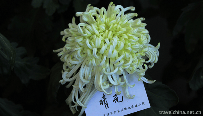 Tianjin-Water-Park-11